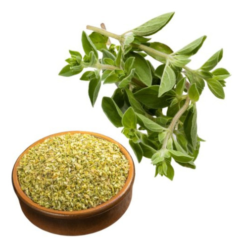 Semillas Oregano