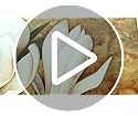 Pyradecor Flores De Magnolia Modernas Grandes En 2 Paneles E