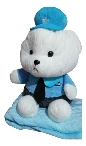 Osito De Peluche Con Manta...entrega Inmediata!!! Blanco