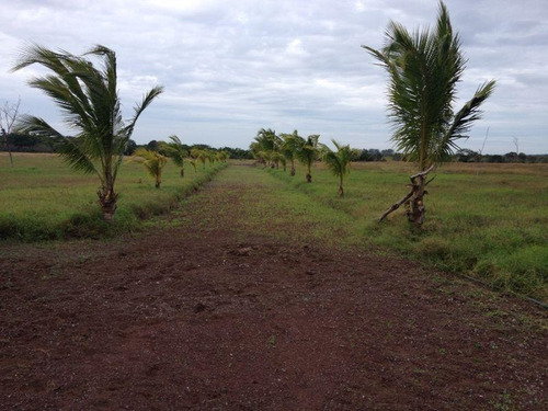 Imagen 12 de 12 de Terreno En Venta La Piedra