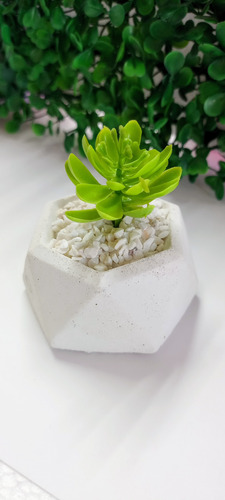 Decora Planta Artificial Geométricas Surtido Paq 12 No Aplica