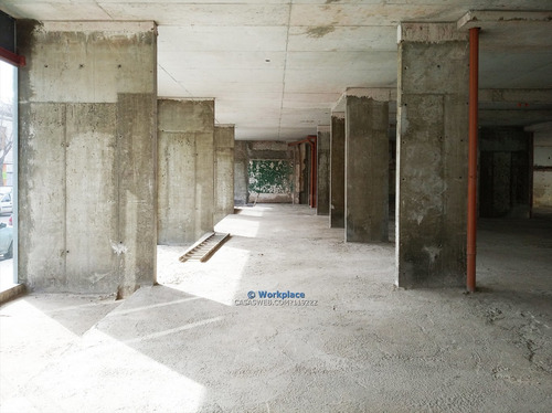 Imagen 8 de 22 de Local Comercial O Oficina - Barrio Sur - Alquiler Cw119222