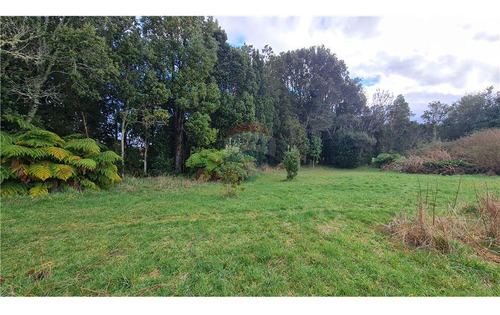 Hermosa Parcela Con Estero En Puerto Varas