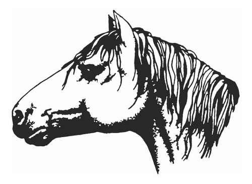 Vinilo Adhesivo Caballo Criollo Calco Haras