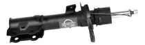 Comprar Amortiguador Delantero Derecho Ford Transit Courier 2023