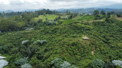 Lote En Venta Vía Armenia