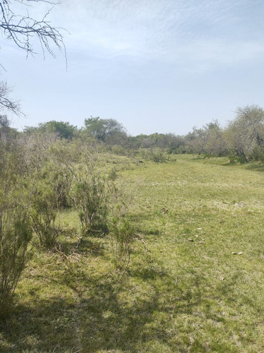 Imagen 8 de 15 de En Venta Chacra Mojones Norte 10.5 Ha
