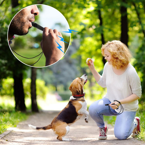 Silbato Para Perros Para Entrenamiento Silbato Portátil Para