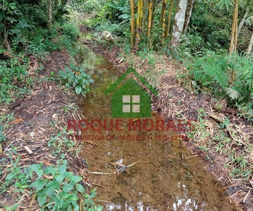 Imagem 12 de 28 de Sítio Medindo 96.800m² No Vale Do Ribeira Sp Ref.: 0903