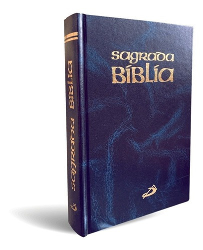 Sagrada Biblia - Sin Motivo - Tamaño Normal - Color