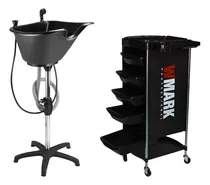 Comprar Combo Carro Ayudante Wmark + Bacha Lavacabeza Portatil