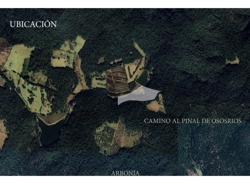 Proyecto Nuevo En Venta, Amento