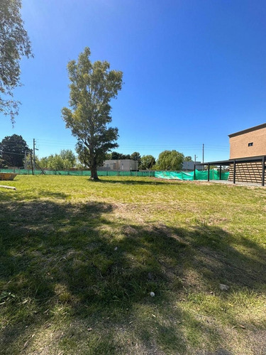 Terreno Lote  En Venta En Álvarez Del Bosque (francisco Alvarez), Moreno, G.b.a. Zona Oeste