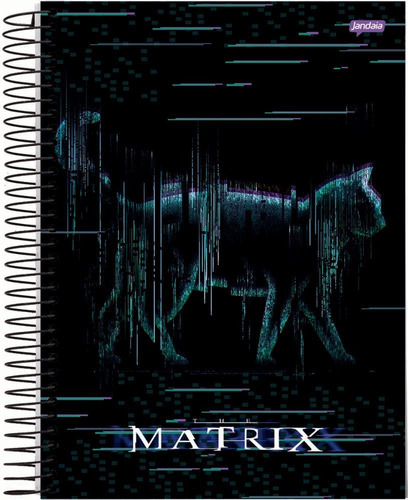 Caderno Espiral Matrix Jandaia 1 Materia 80 Folhas