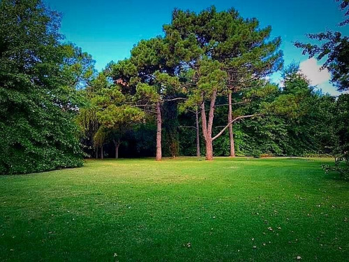 Imagen 3 de 7 de Exclusivo Lote En Venta En Country San Diego- Moreno