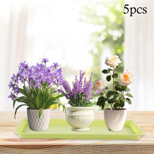 5x Platillos Plantadores Bandejas Compactas Verde