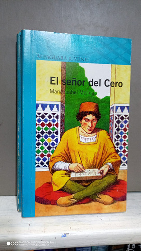 Libro El Señor Del Cero. María Isabel Molina. Alfaguara