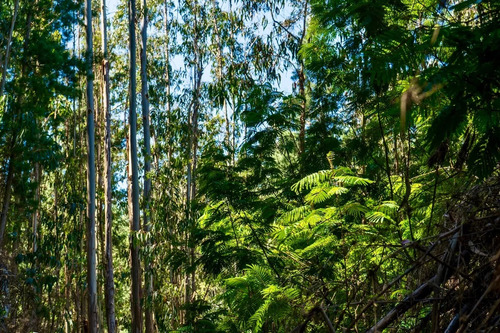 Sitios En Condominio Quebrada Küyen De Pichilemu