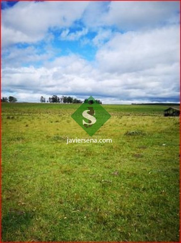 Venta De Campo En Treita Y Tres, 70 Hectareas Con Casa. - Ref: 168050