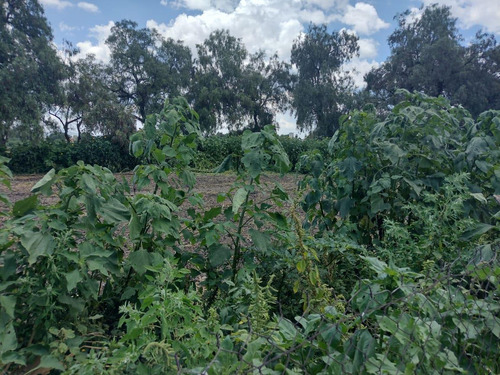 Terreno Las Animas Ozumbilla