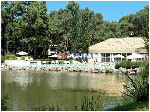 Imagen 11 de 30 de Apartamento En Alquiler Anual