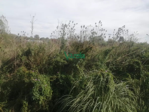 Terreno Sobre Cno. Los Horneros. Frente A Latahona