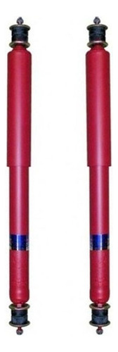 Kit X2 Amortiguador Trasera Fric Rot P/ Peogeot 504 88