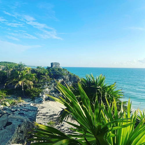 Imagen 7 de 8 de Venta De Terrenos En Selva Zama - Tulum - Dharma