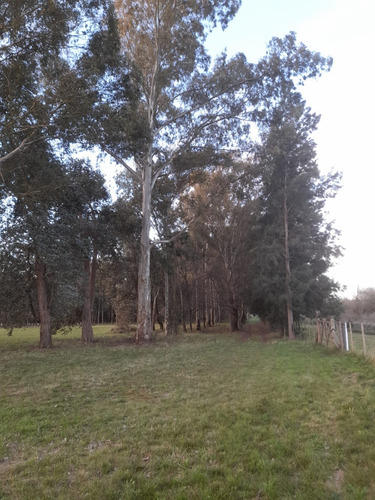 Particular Alquila Parcela/lote En Zona Ruta 36 La Plata