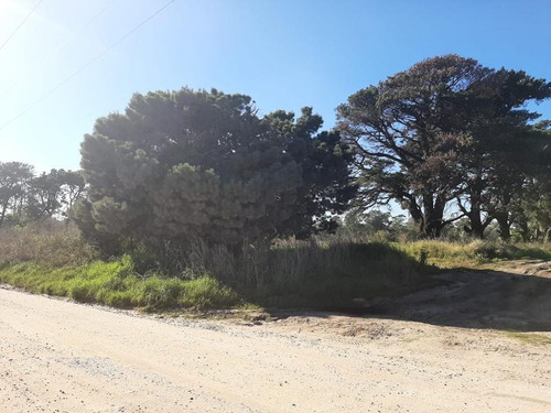 Terreno - Mar Del Plata