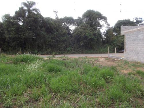 Imagem 8 de 9 de Terreno Comercial Frente Para Asfalto