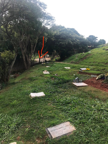 Imagen 2 de 6 de Vendo Lote Sencillo (cementerio Jardines De La Aurora)