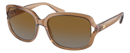 Lentes De Sol Mujer Coach Polarizados Nueva Línea Hc8169 556