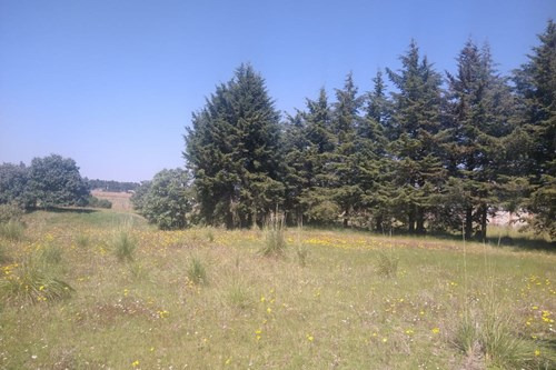 Se Vende Terreno En Santiago Tlacotepec, Toluca, Estado De México