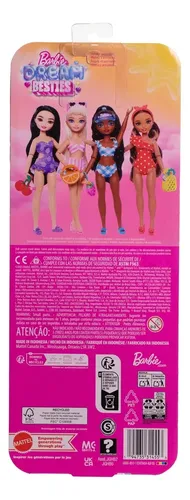 Boneca De Praia Barbie Dream Besties - Renee - Mattel Jgh86