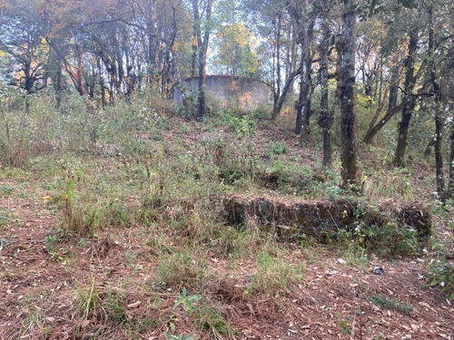 Imagen 7 de 8 de Gran Terreno En Zona Arbolada En Paraje Cuacuametla, Huitzil