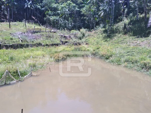 Imagem 16 de 26 de Chácara Com Lago Em Juquitiba - 239 - 70330798