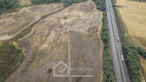 Predio De 64 Has Mulchén Orilla De Carretera 5 Sur