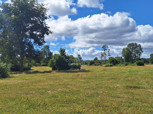 Campo Con Casa En Fresia, Excelente Inversión