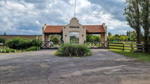 Imagen 11 de 12 de Sensacional Lote 1200m - Los Palenques Cc - Vistas De Campo Abiertas - Super Oportunidad -