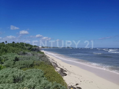 Oportunidad!!se Vende Terreno Frente Al Mar Mahahual-rio Indio P1200