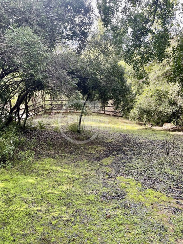 Excelente Parcela En Condominio En La Laguna De Aculeo.