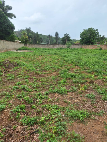 Terreno En Venta - El Solar, Guataparo, Valencia Acv275735