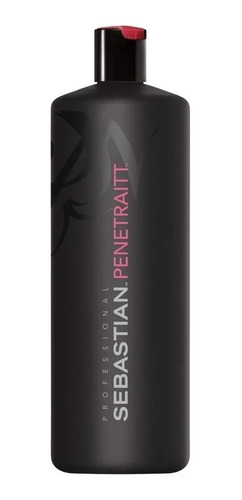 Kit Shampoo+ Cond.1 Litro Penetraitt Sebastian Professional