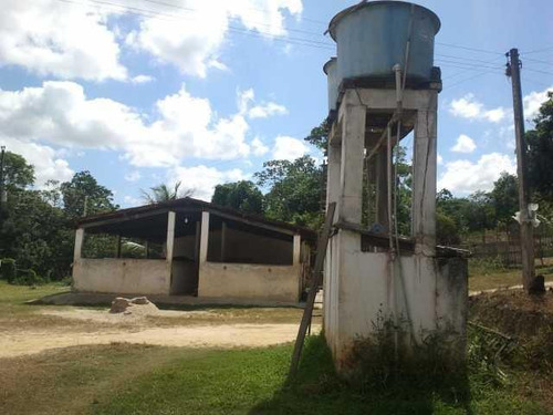 Imagem 10 de 16 de Chácara À Venda, 40000 M² Por R$ 800.000,00 - Abc - Moreno/pe - Ch0001