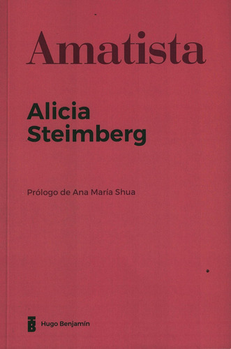 Amatista, De Steimberg, Alicia. Editorial S/d En Español