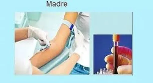 Test De Paternidad En El Embarazo, Adn Prenatal No Invasivo