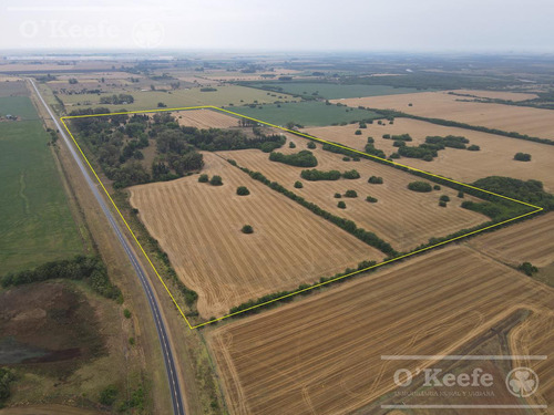 Campo En Venta De 80 Has En Gualeguay Entre Rios, Casco Histórico - Turismo Rural