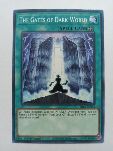 The Gates Of Dark World - Common     Sr13