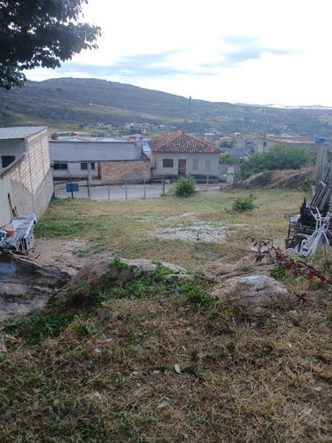 Venda Casa Com Ponto De Comercio